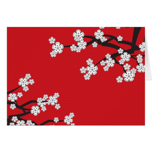 White Cherry Blossom Sakura Spring Flowers Branch (Voorkant Horizontaal)