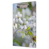 White Cherry Flower Klembord (Links)