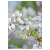 White Cherry Flower Klembord (Achterkant)