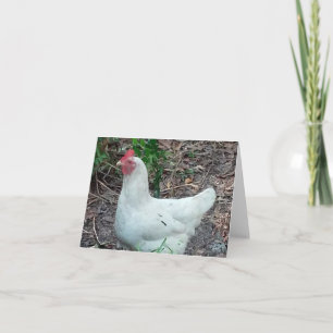 White Chicken Photo Folded Note Kaart