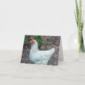 White Chicken Photo Folded Note Kaart (Voorkant)