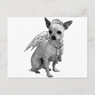 White Chihuahua Angel Wings Briefkaart