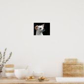White Chihuahua Head op zwarte achtergrond Poster (Keuken)