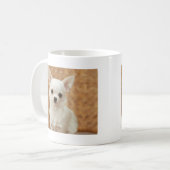 White Chihuahua Koffiemok (Voorkant links)