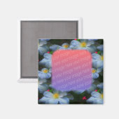 White Clematis - Vloeiend uw foto Magneet (Voorkant / Achterkant)