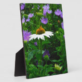 White Cone flower, paarse bloemen en moth Fotoplaat (Zijkant)