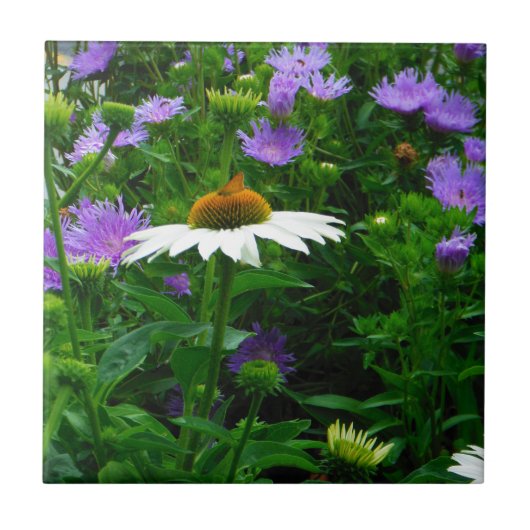 White Cone flower, paarse bloemen en moth Tegeltje (Voorkant)