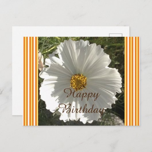 White Cosmos Flower Birthday Briefkaart (Voorkant / Achterkant)
