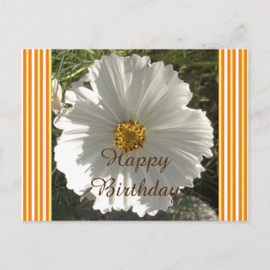White Cosmos Flower Birthday Briefkaart