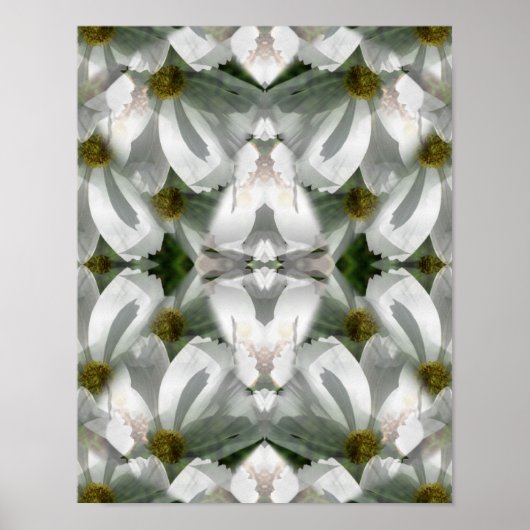 White Cosmos Flowers Abstracte Art Poster (Voorkant)