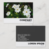 White Cosmos Flowers Visitekaartje (Voorkant / Achterkant)