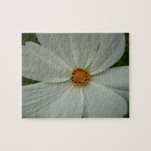 White Cosmos Summer Wildflower Floral Legpuzzel