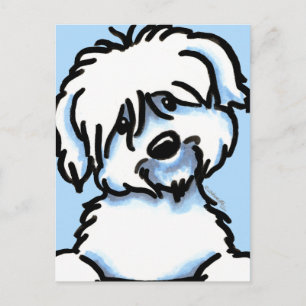 White Coton de Tulear Face Briefkaart