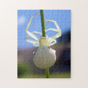 White Crab Spider Photo Puzzle met Gift Box Legpuzzel