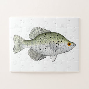 White Crappie Magnet Legpuzzel