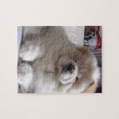White Cream Puff Chow Chow Puppy Legpuzzel (Horizontaal)