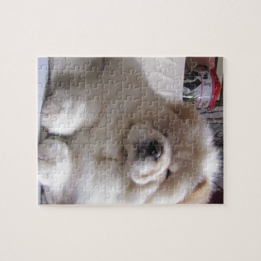 White Cream Puff Chow Chow Puppy Legpuzzel (Horizontaal)