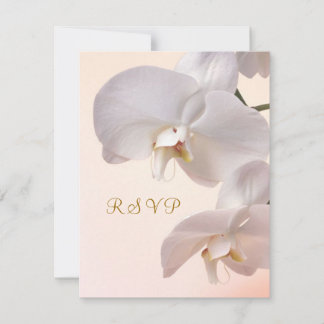 White - crème Orchids Uitnodiging antwoord. RSVP