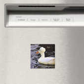 White Crested Duck Magneet (Insitu (Vaatwasser))