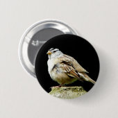 White Crowned Song Sparrow Ronde Button 5,7 Cm (Voorkant /achterkant)