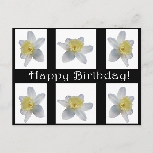 White Daffodil Briefkaart (Voorkant)