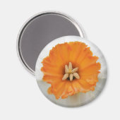White Daffodil Magnet Magneet (Voorkant / Achterkant)