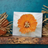 White Daffodil Plaque Fotoplaat (Zijkant)