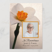 White Daffodil Spring Funeral Memorial Service Programma (Voorkant)