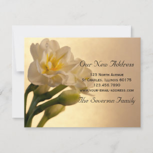 White Daffodils New Address Notice Aankondiging