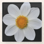 White Dahlia over Black Floral Glazen Onderzetter (Voorkant)