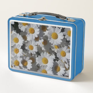 White Daisies