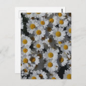 White Daisies Briefkaart (Voorkant / Achterkant)