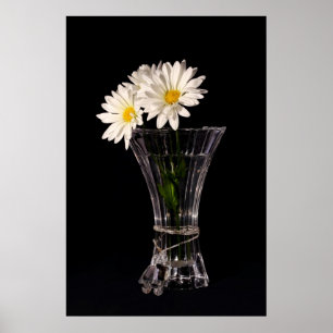 White Daisies in Vase Poster