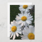 White Daisies Kaart (Voorkant / Achterkant)