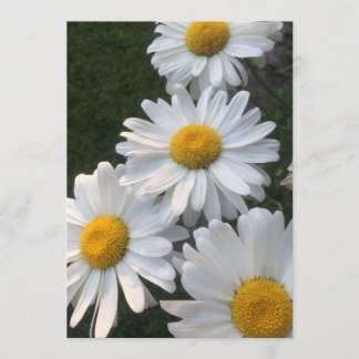 White Daisies Kaart
