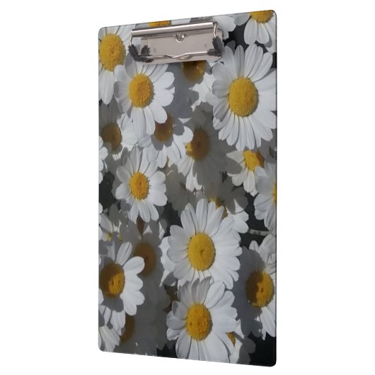 White Daisies Klembord (Links)