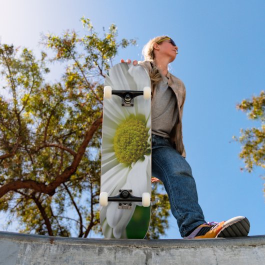 White Daisies Skateboard (Buiten 1)