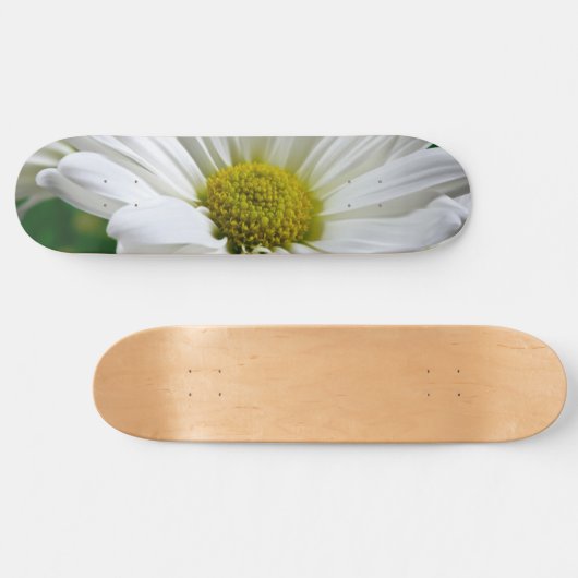 White Daisies Skateboard (Horizontaal)