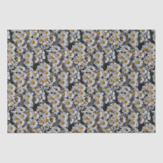 White Daisies Tissuepapier (Voorkant)