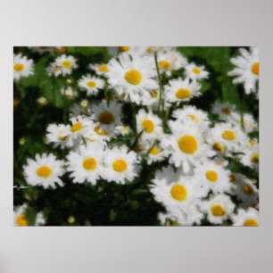 White Daisies Waterverf Poster