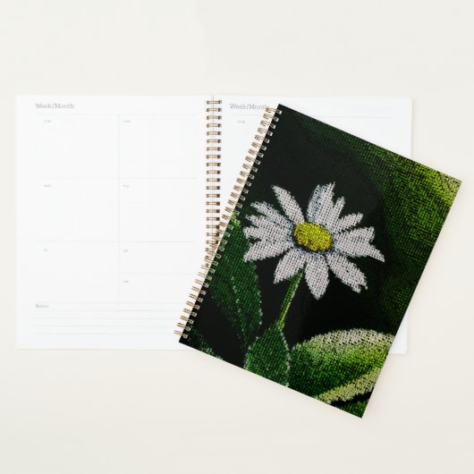 WHITE DAISY (Devant avec enveloppe)