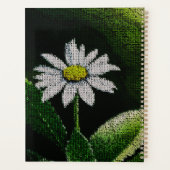 WHITE DAISY (Dos)