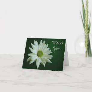White Daisy bedankkaart