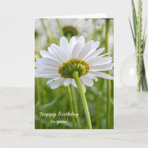 White daisy-birthday kaart