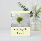 White Daisy Briefkaart (Staand voorkant)