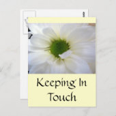 White Daisy Briefkaart (Voorkant / Achterkant)