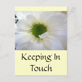 White Daisy Briefkaart