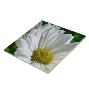 White Daisy Ceramic Tile Tegeltje