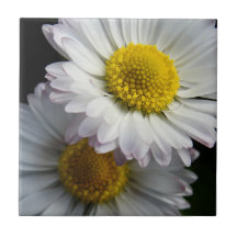 White Daisy Ceramic Tile