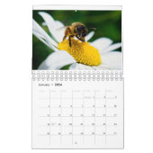 White daisy family photo for grandparents Calendar Kalender (Jan 2026)